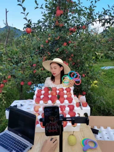 微信图片_20241216162940